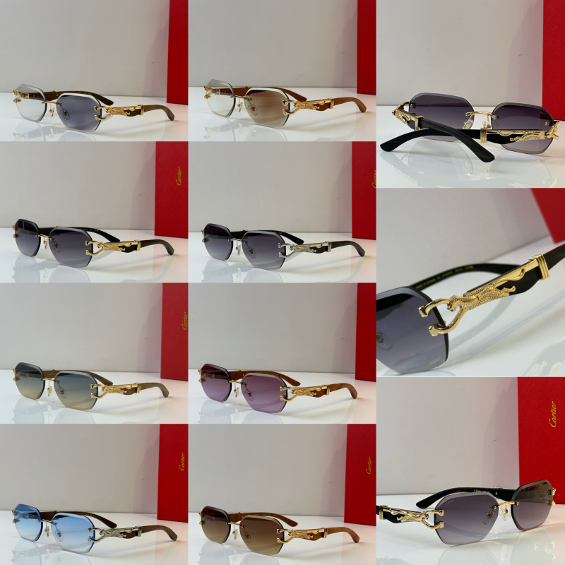 Cartier Glasses 08smh35 (12)