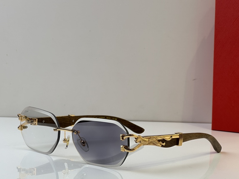 Cartier Glasses 08smh35 (2)