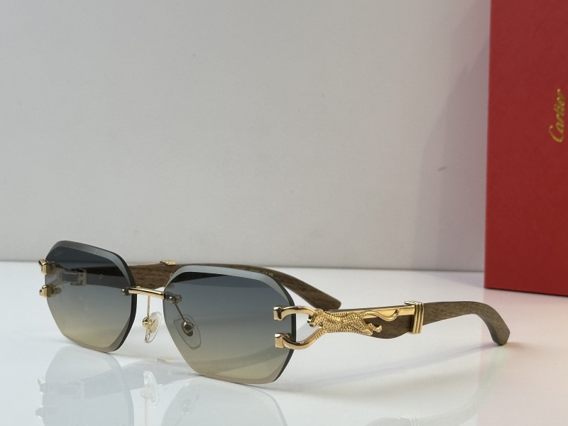 Cartier Glasses 08smh35 (3)