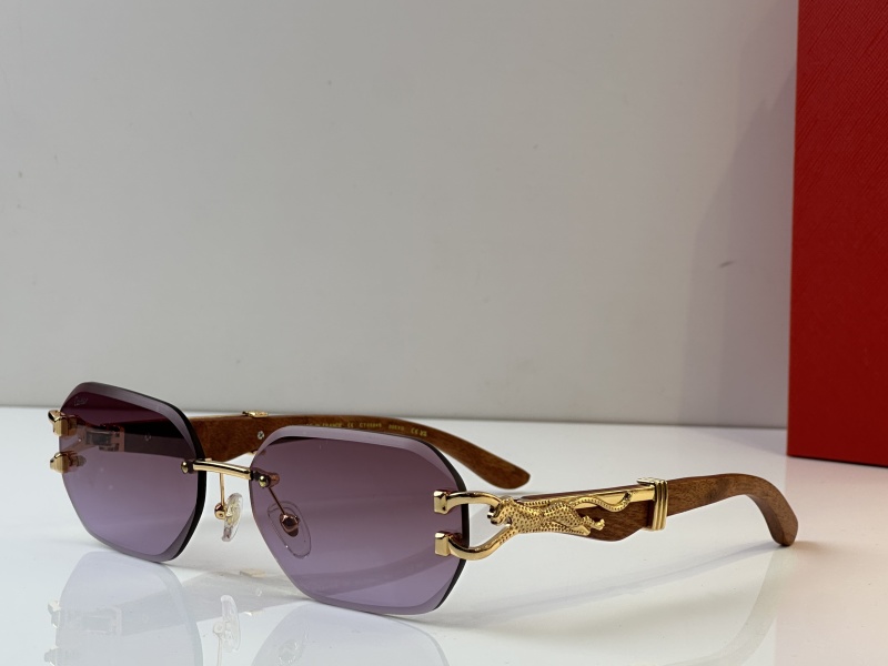 Cartier Glasses 08smh35 (4)