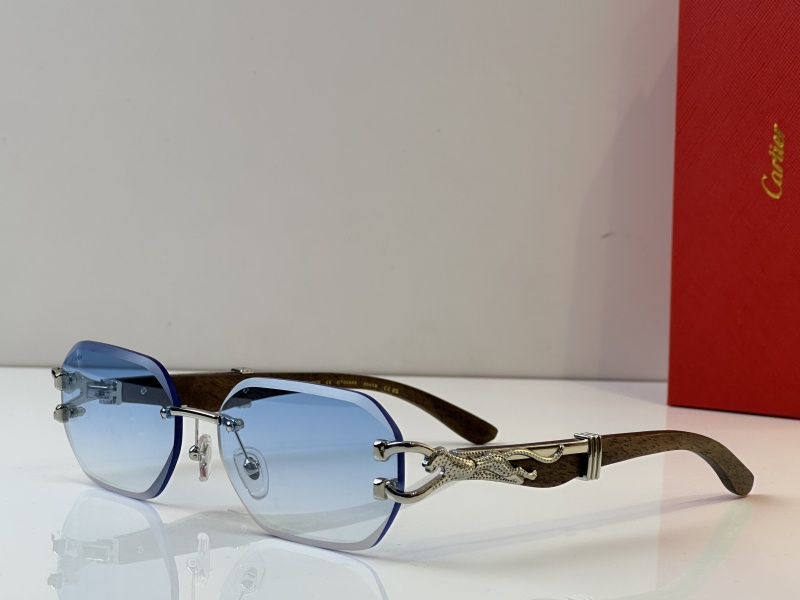 Cartier Glasses 08smh35 (5)