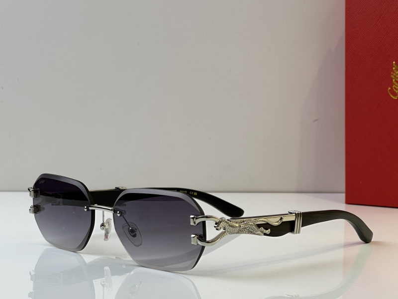 Cartier Glasses 08smh35 (6)