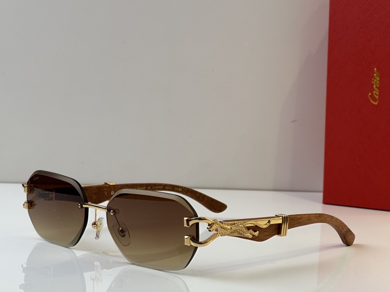 Cartier Glasses 08smh35 (8)