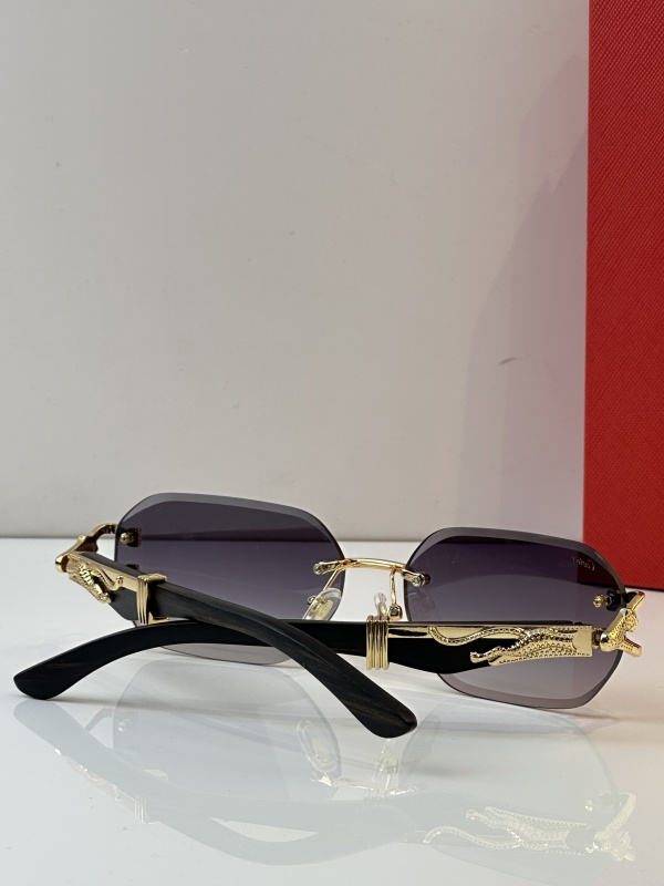 Cartier Glasses 08smh35 (9)