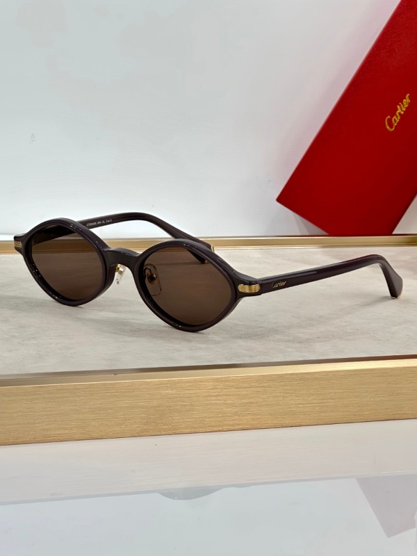 Cartier Glasses 08smh36 (1)