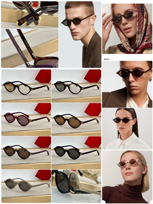 Cartier Glasses 08smh36 (10)