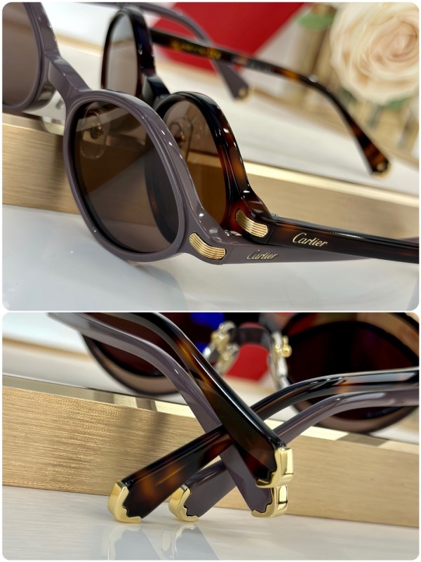 Cartier Glasses 08smh36 (8)