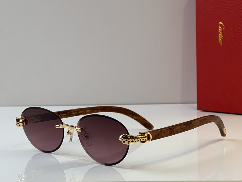 Cartier Glasses 08smh37 (1)