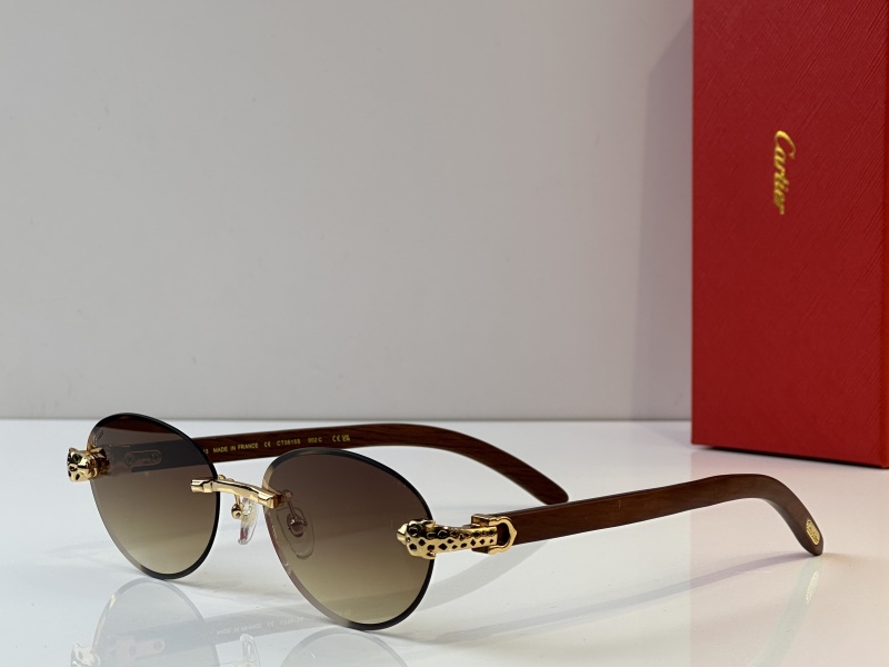 Cartier Glasses 08smh37 (2)