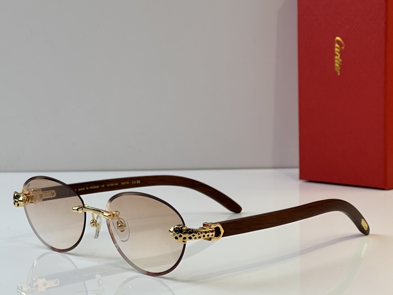 Cartier Glasses 08smh37 (4)