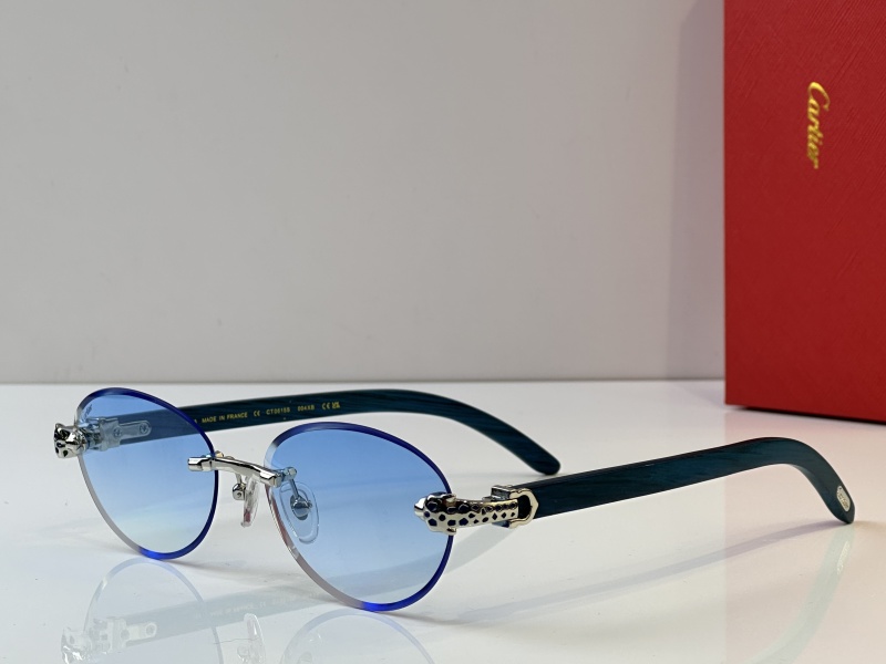 Cartier Glasses 08smh37 (6)