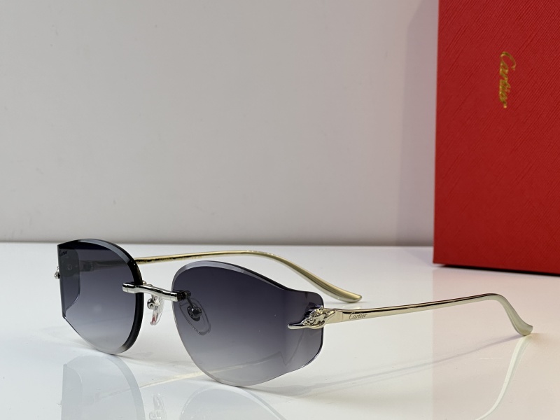 Cartier Glasses 08smh38 (1)