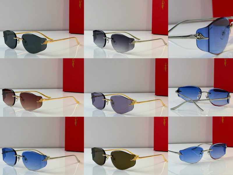 Cartier Glasses 08smh38 (10)