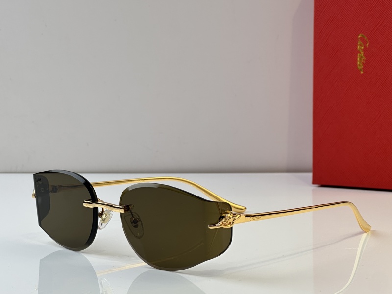 Cartier Glasses 08smh38 (2)