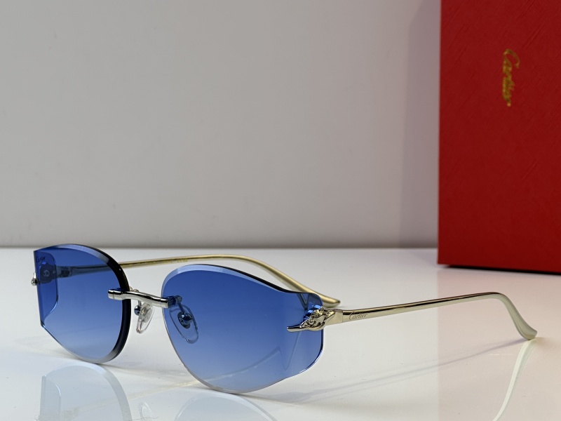 Cartier Glasses 08smh38 (4)