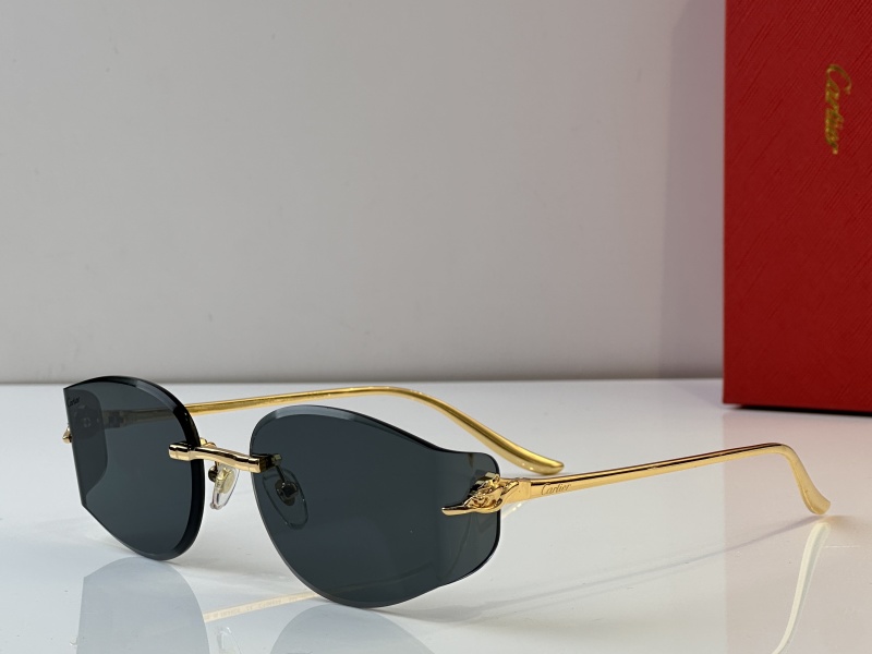 Cartier Glasses 08smh38 (5)