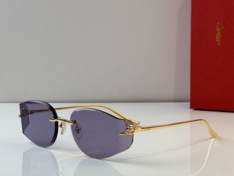 Cartier Glasses 08smh38 (6)