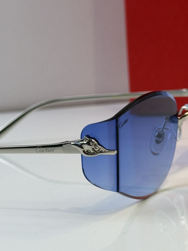 Cartier Glasses 08smh38 (7)