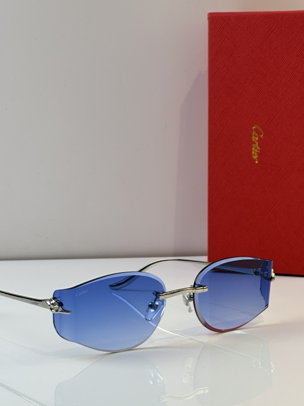 Cartier Glasses 08smh38 (8)