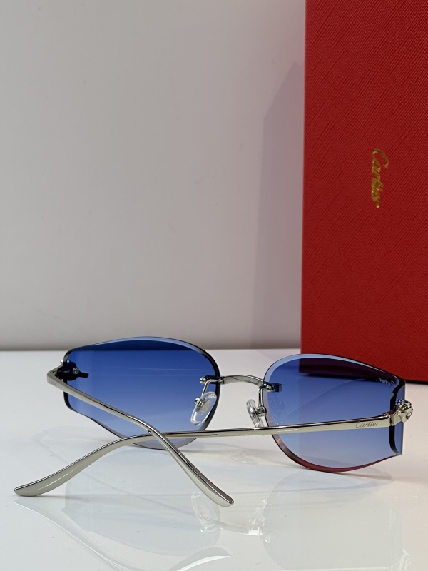 Cartier Glasses 08smh38 (9)