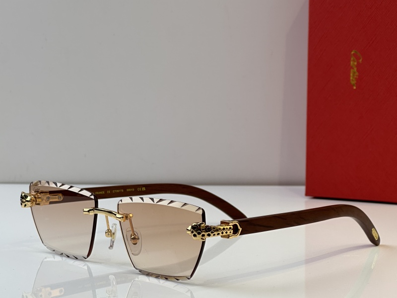 Cartier Glasses 08smh39 (1)