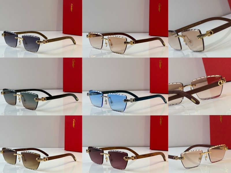 Cartier Glasses 08smh39 (10)