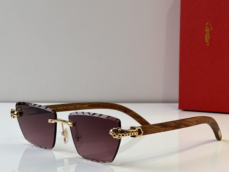 Cartier Glasses 08smh39 (2)