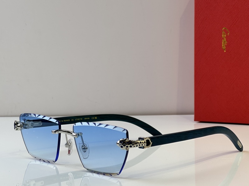 Cartier Glasses 08smh39 (3)