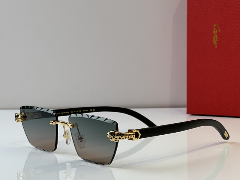 Cartier Glasses 08smh39 (4)