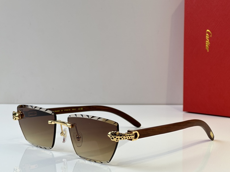 Cartier Glasses 08smh39 (5)