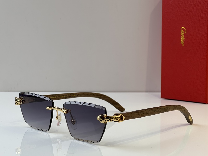 Cartier Glasses 08smh39 (6)