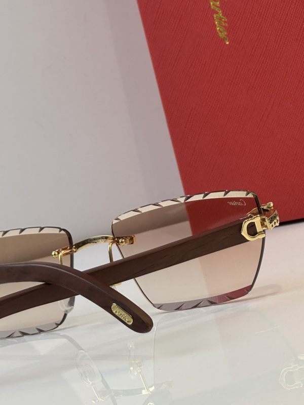 Cartier Glasses 08smh39 (7)