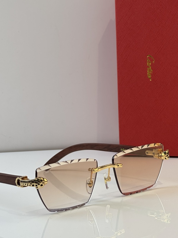 Cartier Glasses 08smh39 (8)