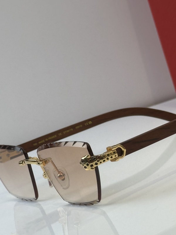 Cartier Glasses 08smh39 (9)