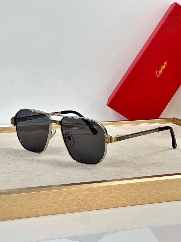 Cartier Glasses 08smh40 (4)