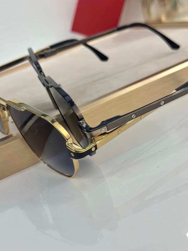 Cartier Glasses 08smh40 (7)