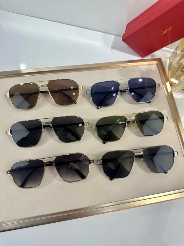 Cartier Glasses 08smh40 (9)