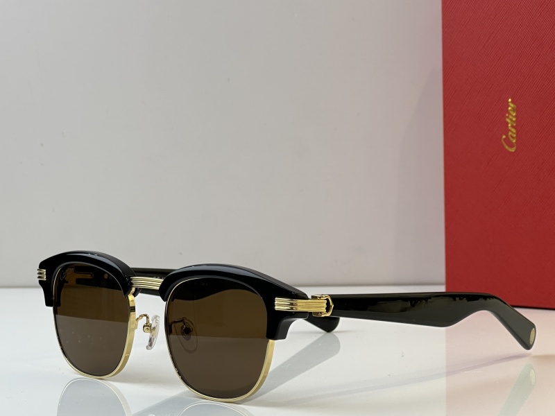 Cartier Glasses 08smh41 (1)