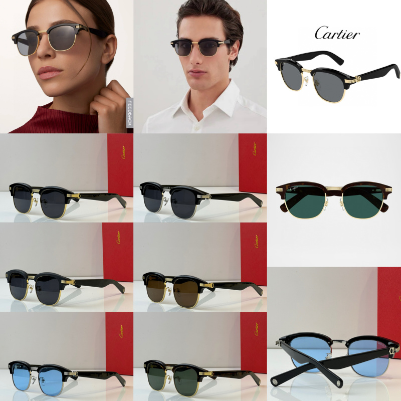 Cartier Glasses 08smh41 (10)