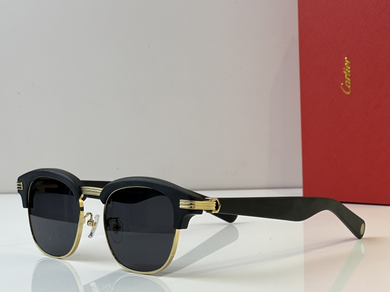 Cartier Glasses 08smh41 (3)