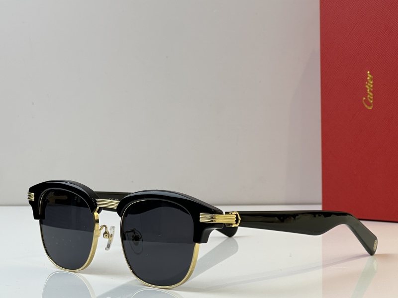 Cartier Glasses 08smh41 (4)