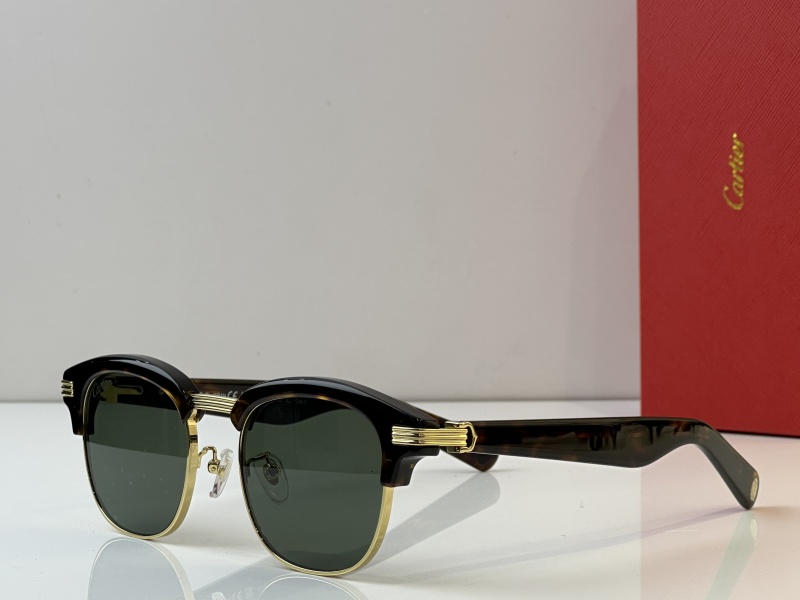 Cartier Glasses 08smh41 (5)