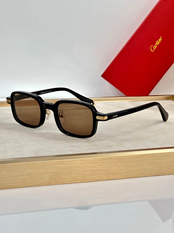 Cartier Glasses 08smh42 (2)