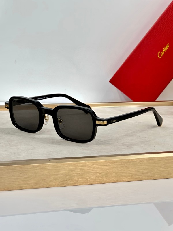 Cartier Glasses 08smh42 (3)