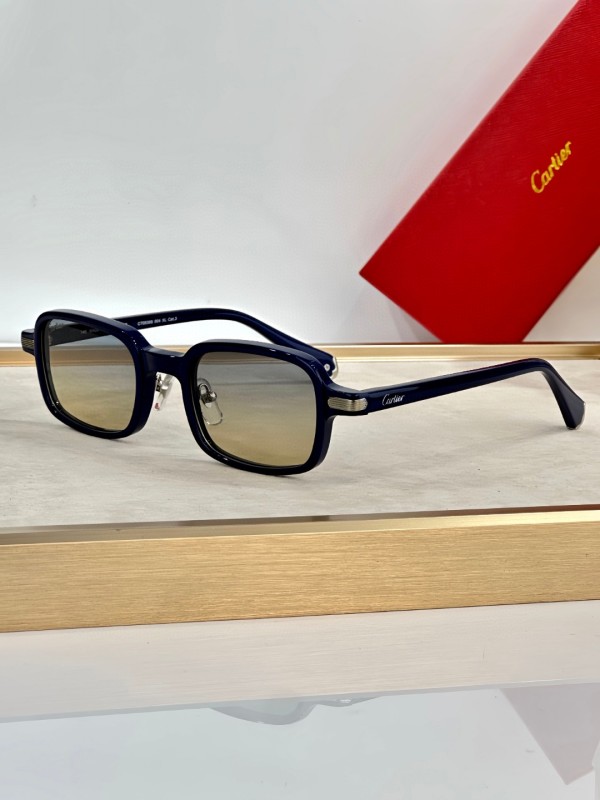 Cartier Glasses 08smh42 (4)