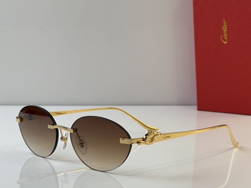 Cartier Glasses 08smh43 (1)