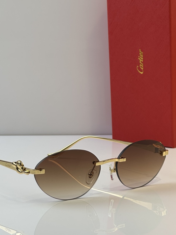 Cartier Glasses 08smh43 (10)