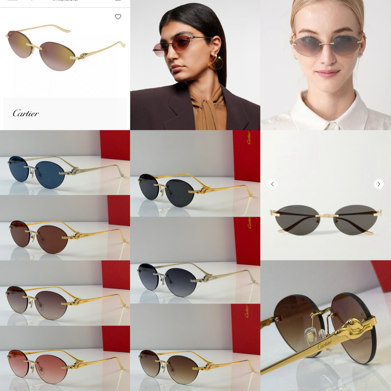 Cartier Glasses 08smh43 (11)