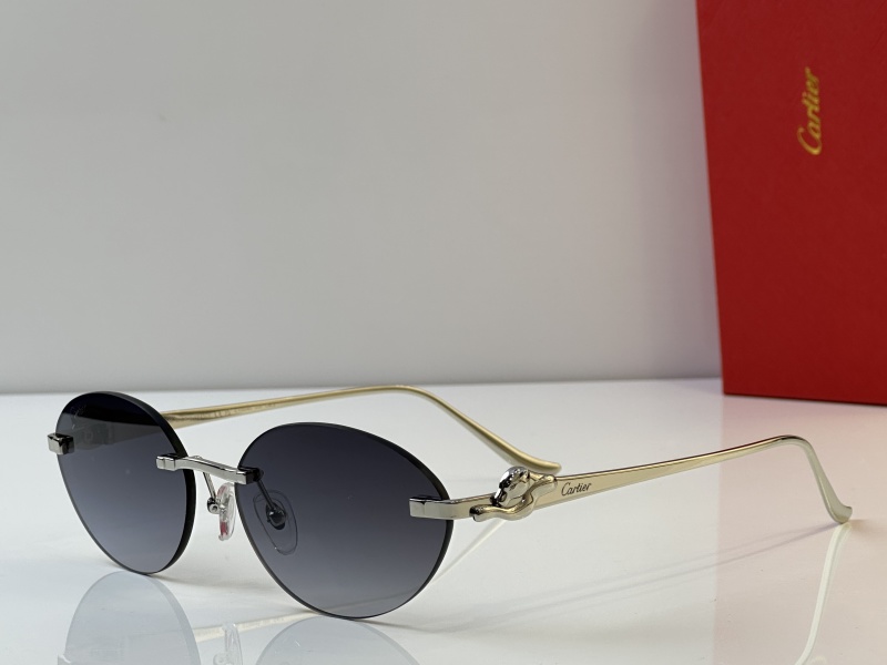 Cartier Glasses 08smh43 (2)