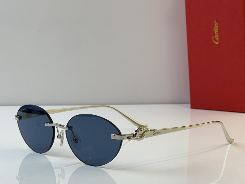 Cartier Glasses 08smh43 (3)